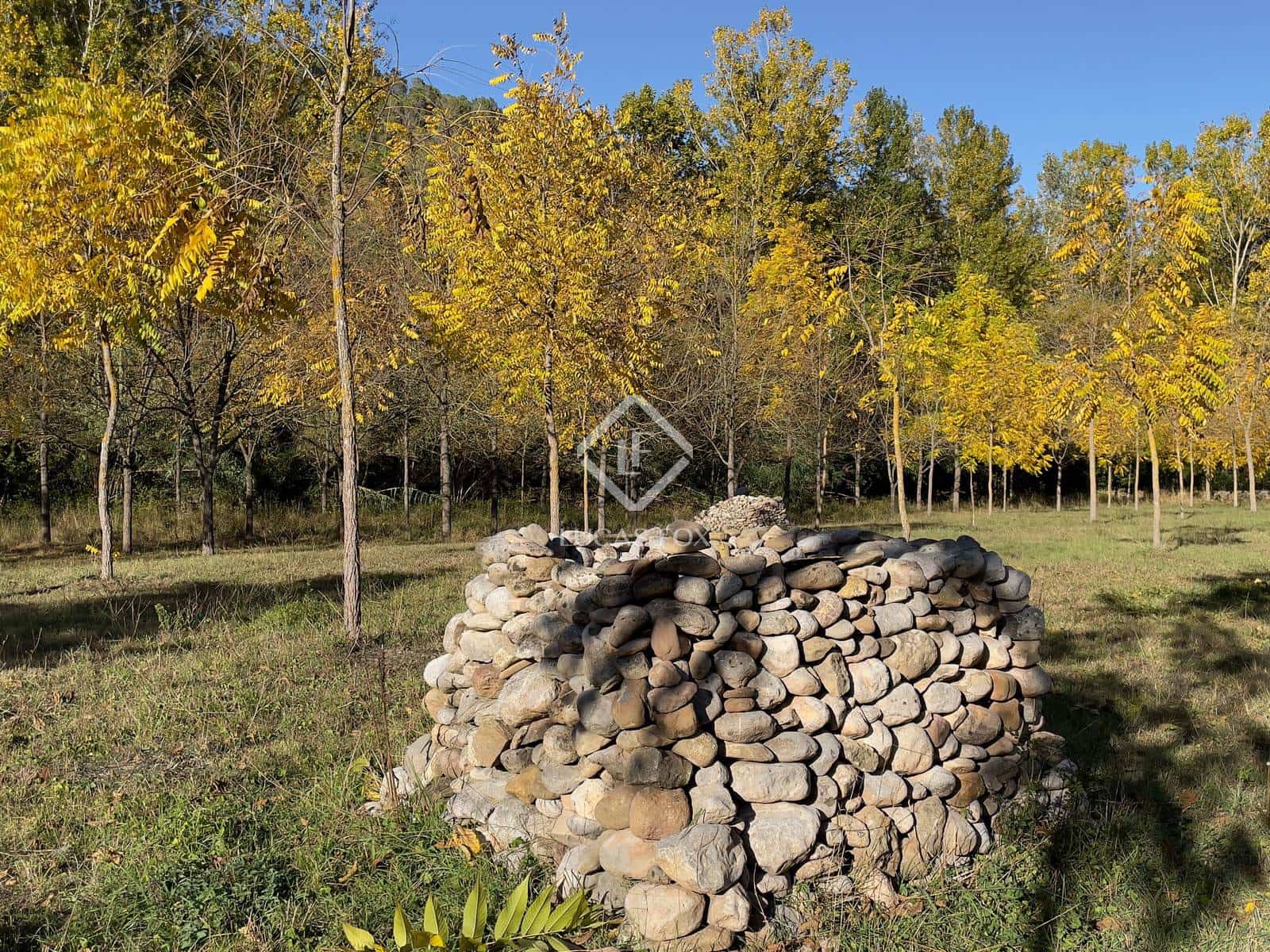 4 camera da letto Finca/Casa di Campagna in vendita in Sant Llorenc de la Muga - 1.450.000 € (Rif: 9293850)