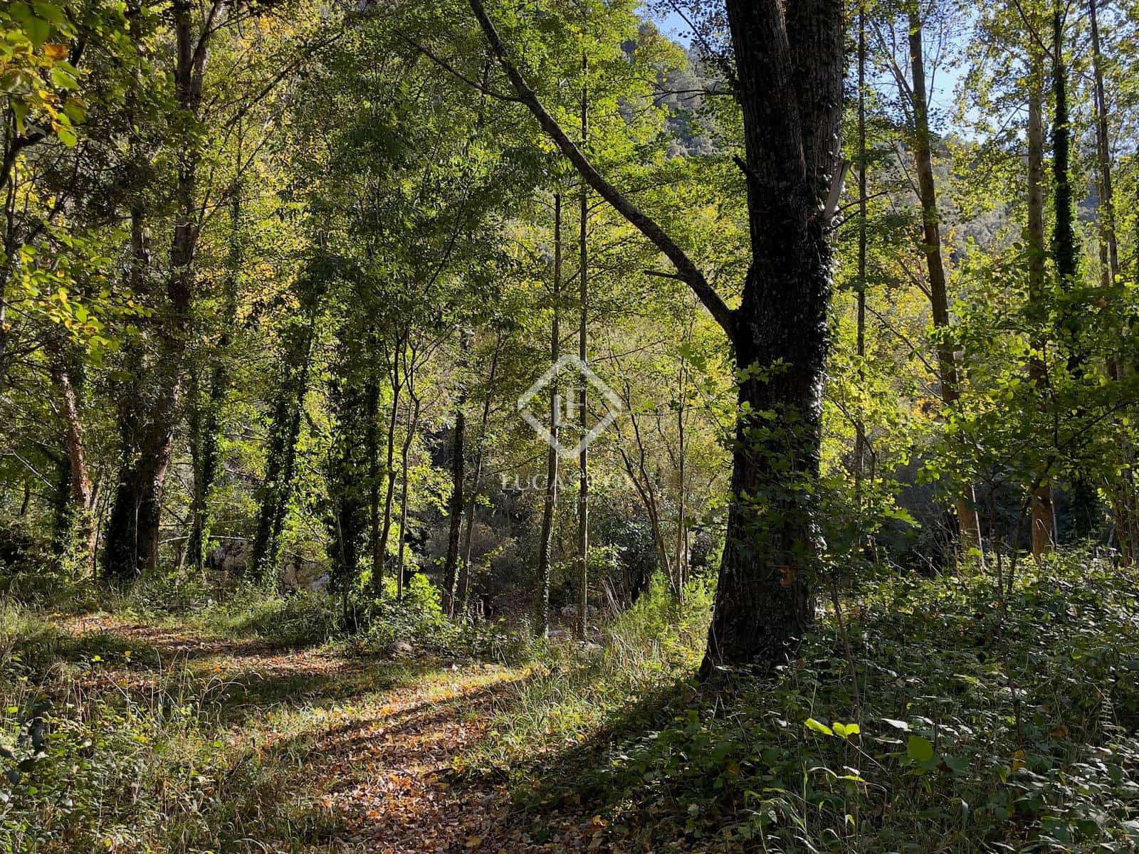 4 camera da letto Finca/Casa di Campagna in vendita in Sant Llorenc de la Muga - 1.450.000 € (Rif: 9293850)