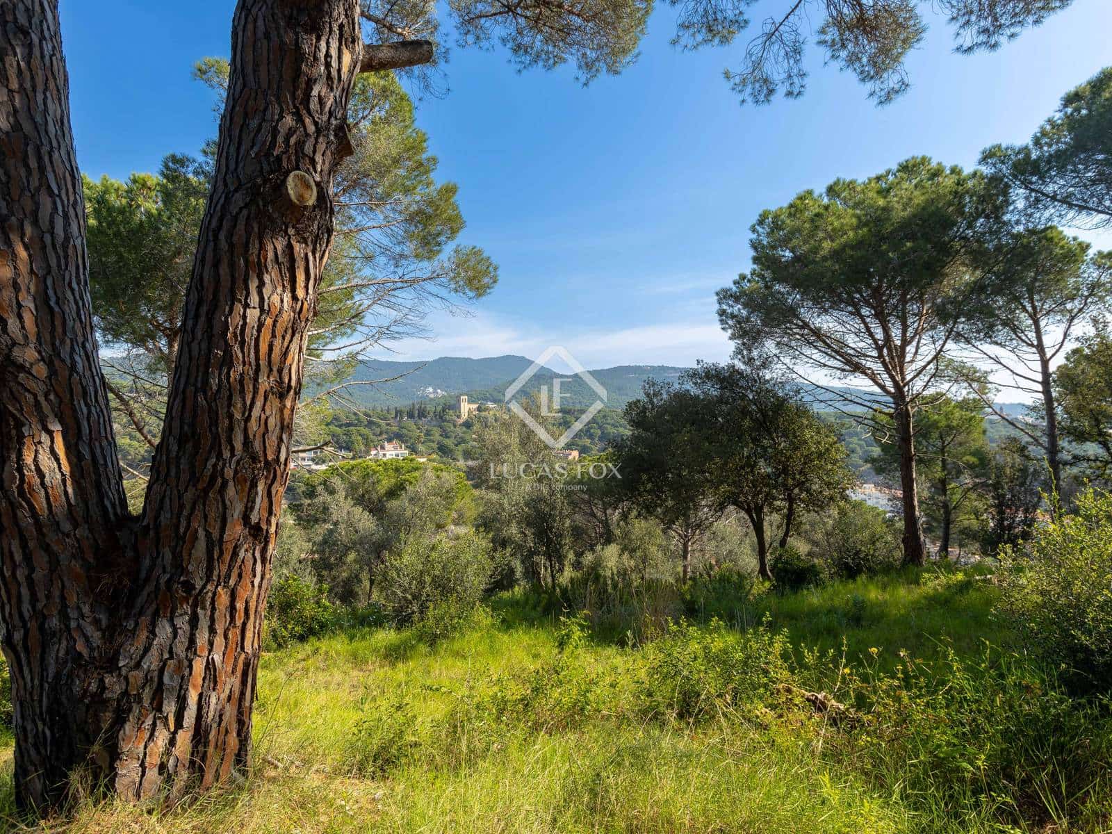 4 chambre Villa/Maison à vendre à Sant Andreu de Llavaneres avec piscine garage - 2 200 000 € (Ref: 9295924)