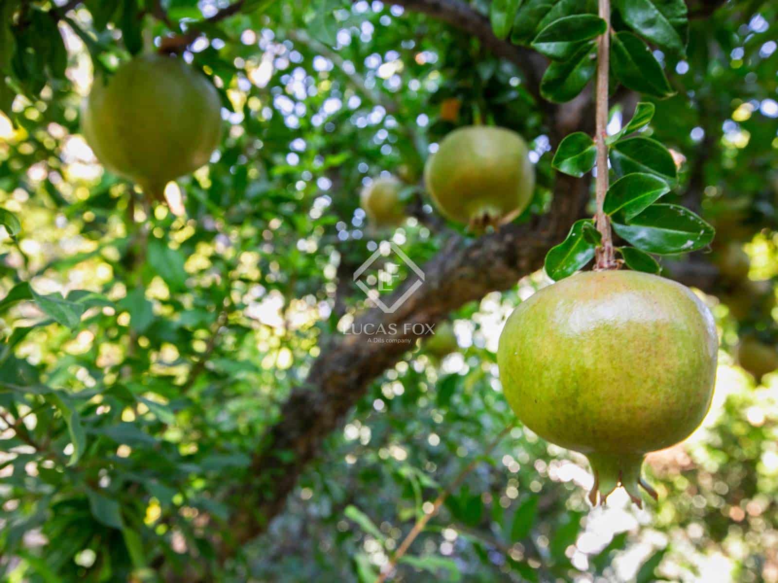 11 sypialnia Willa na sprzedaż w Miasto Madryt z basenem - 4 900 000 € (Ref: 9298970)