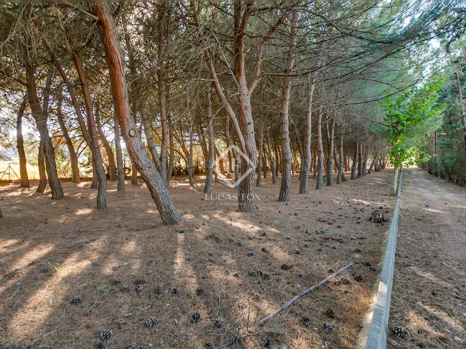 11 sypialnia Willa na sprzedaż w Miasto Madryt z basenem - 4 900 000 € (Ref: 9298970)