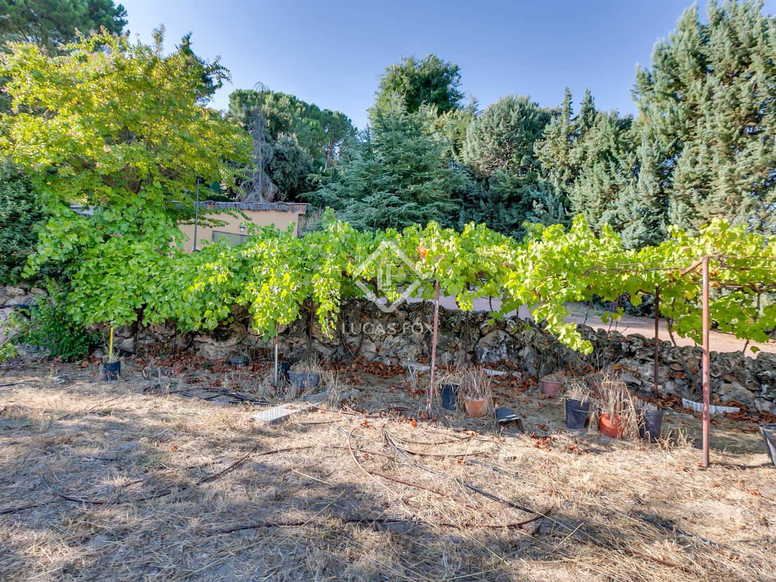 11 sypialnia Willa na sprzedaż w Miasto Madryt z basenem - 4 900 000 € (Ref: 9298970)