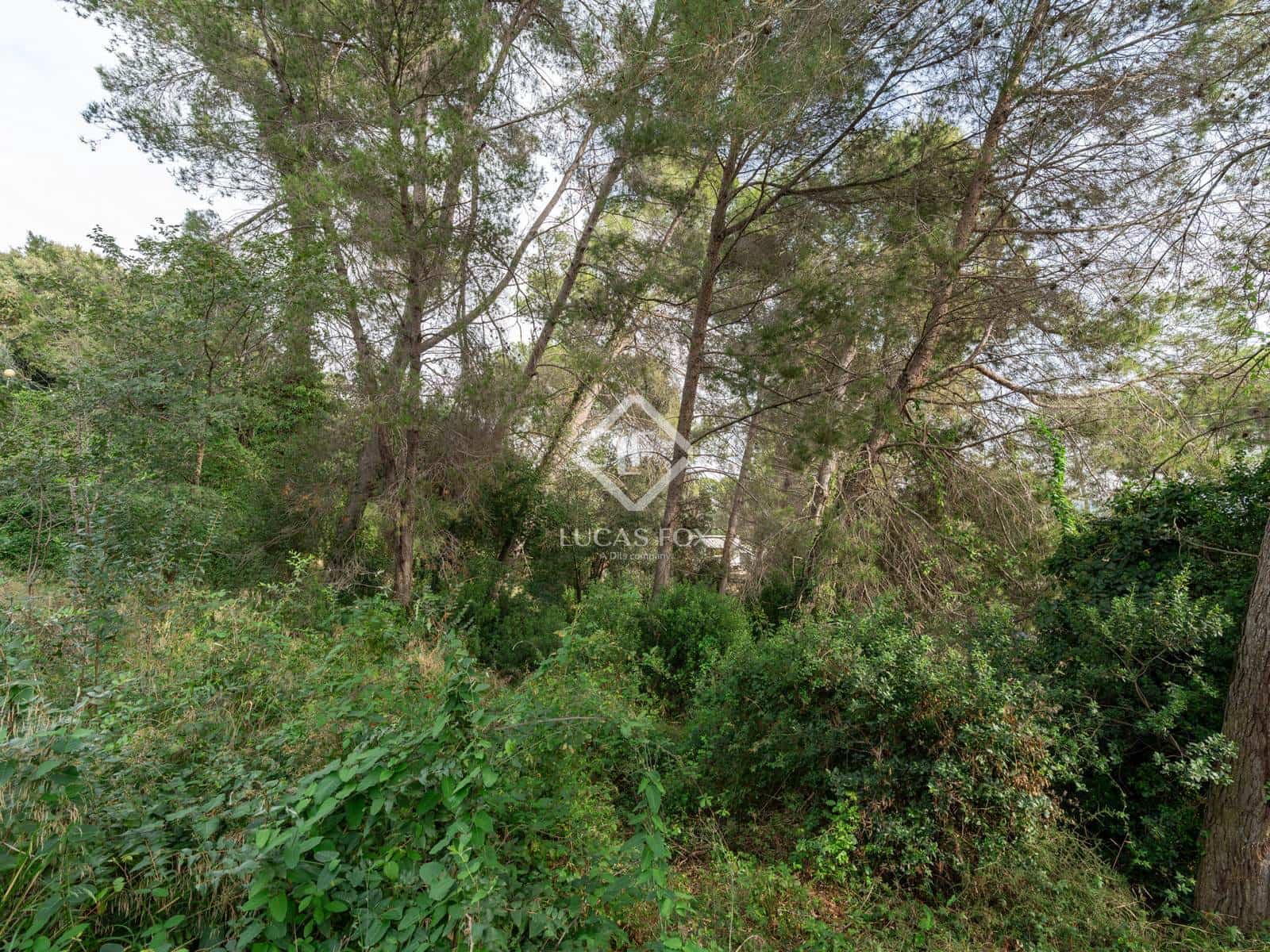 Terrain à Bâtir à vendre à Bellaterra - 495 000 € (Ref: 9315217)