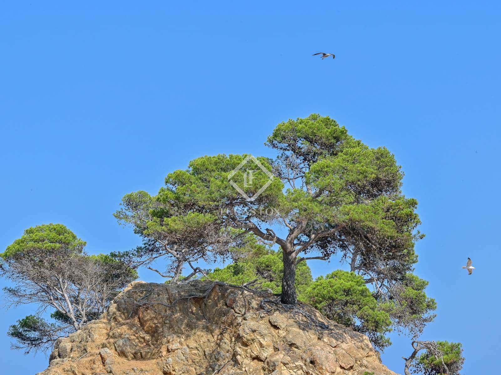 3 slaapkamer Appartement te koop in Calonge i Sant Antoni met garage - € 625.000 (Ref: 9319942)