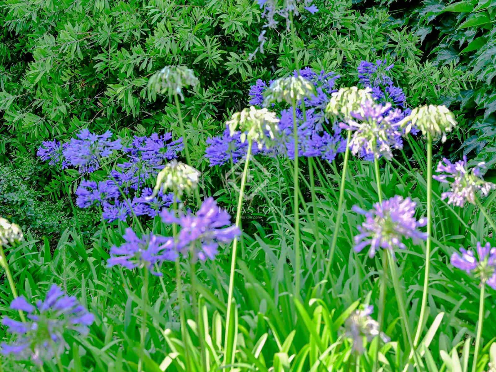 3 slaapkamer Appartement te koop in Calonge i Sant Antoni met garage - € 625.000 (Ref: 9319942)