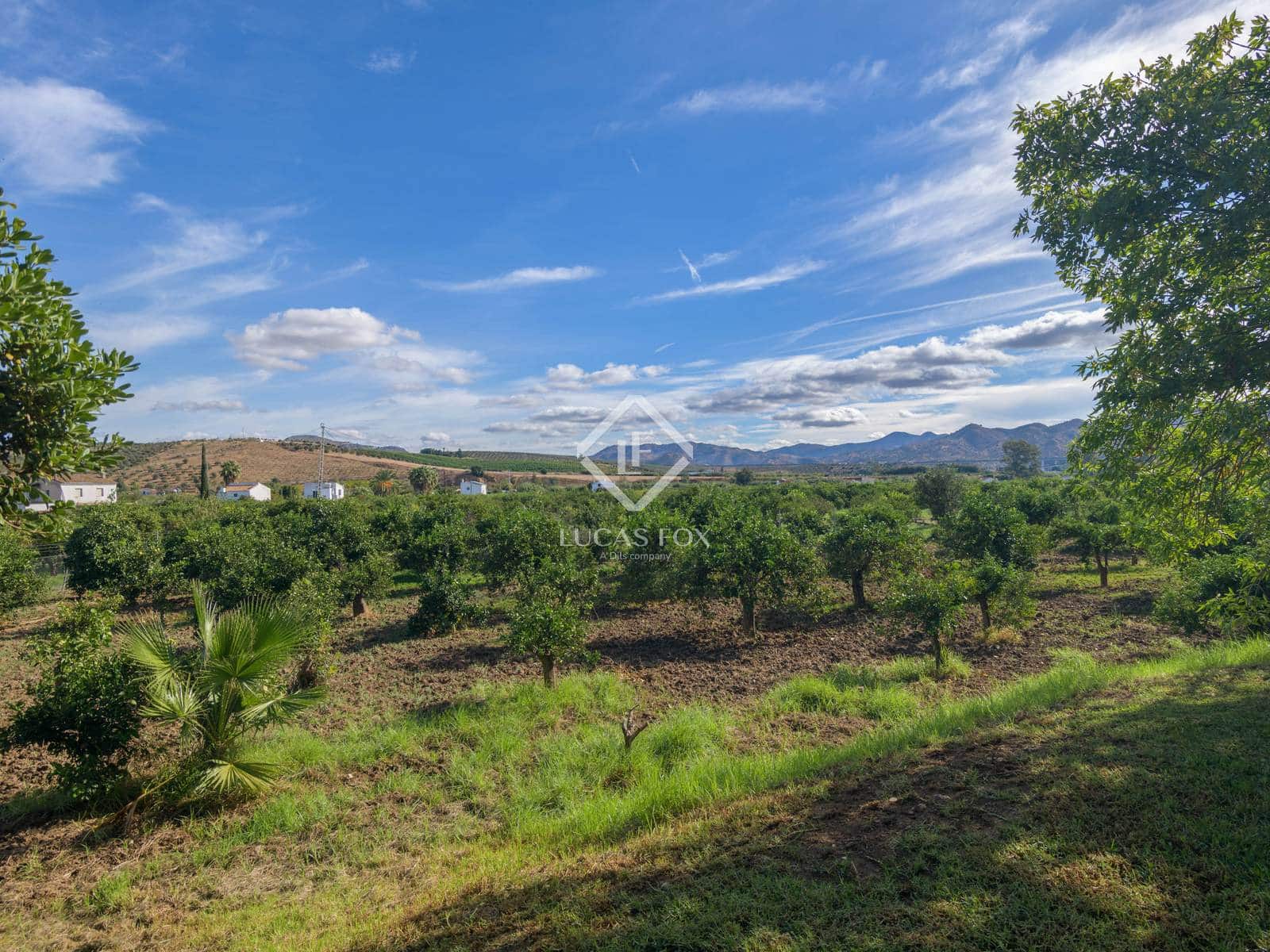 3 chambre Finca/Maison de Campagne à vendre à Alora avec piscine garage - 695 000 € (Ref: 9371358)