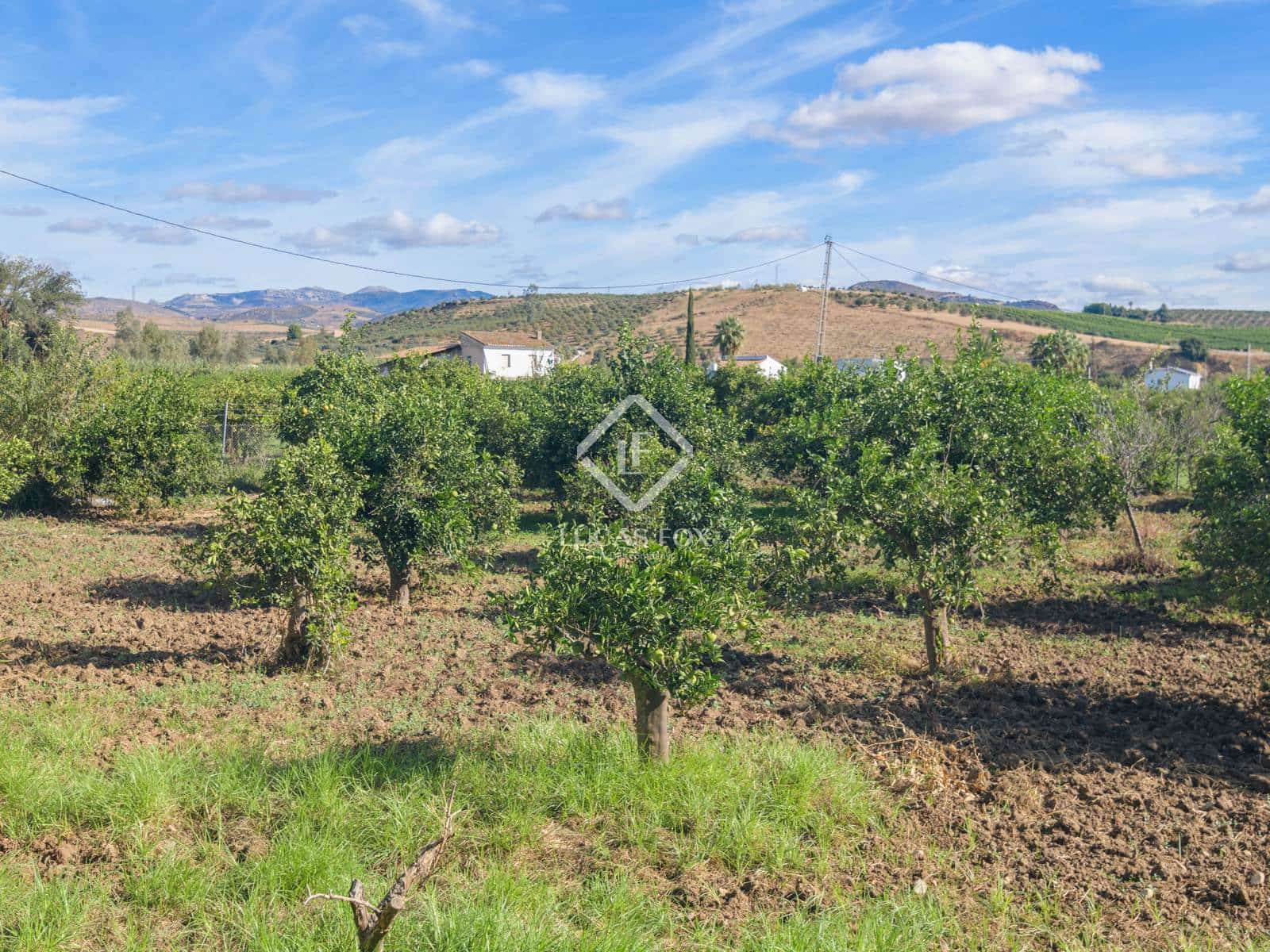 3 chambre Finca/Maison de Campagne à vendre à Alora avec piscine garage - 695 000 € (Ref: 9371358)