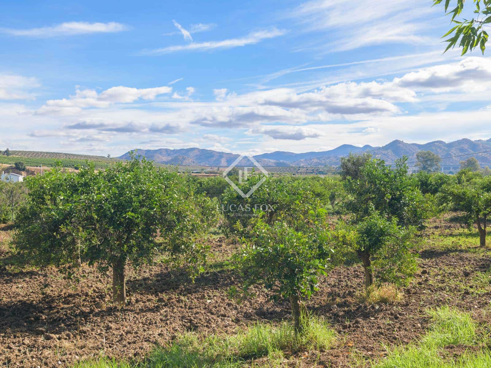 3 chambre Finca/Maison de Campagne à vendre à Alora avec piscine garage - 695 000 € (Ref: 9371358)