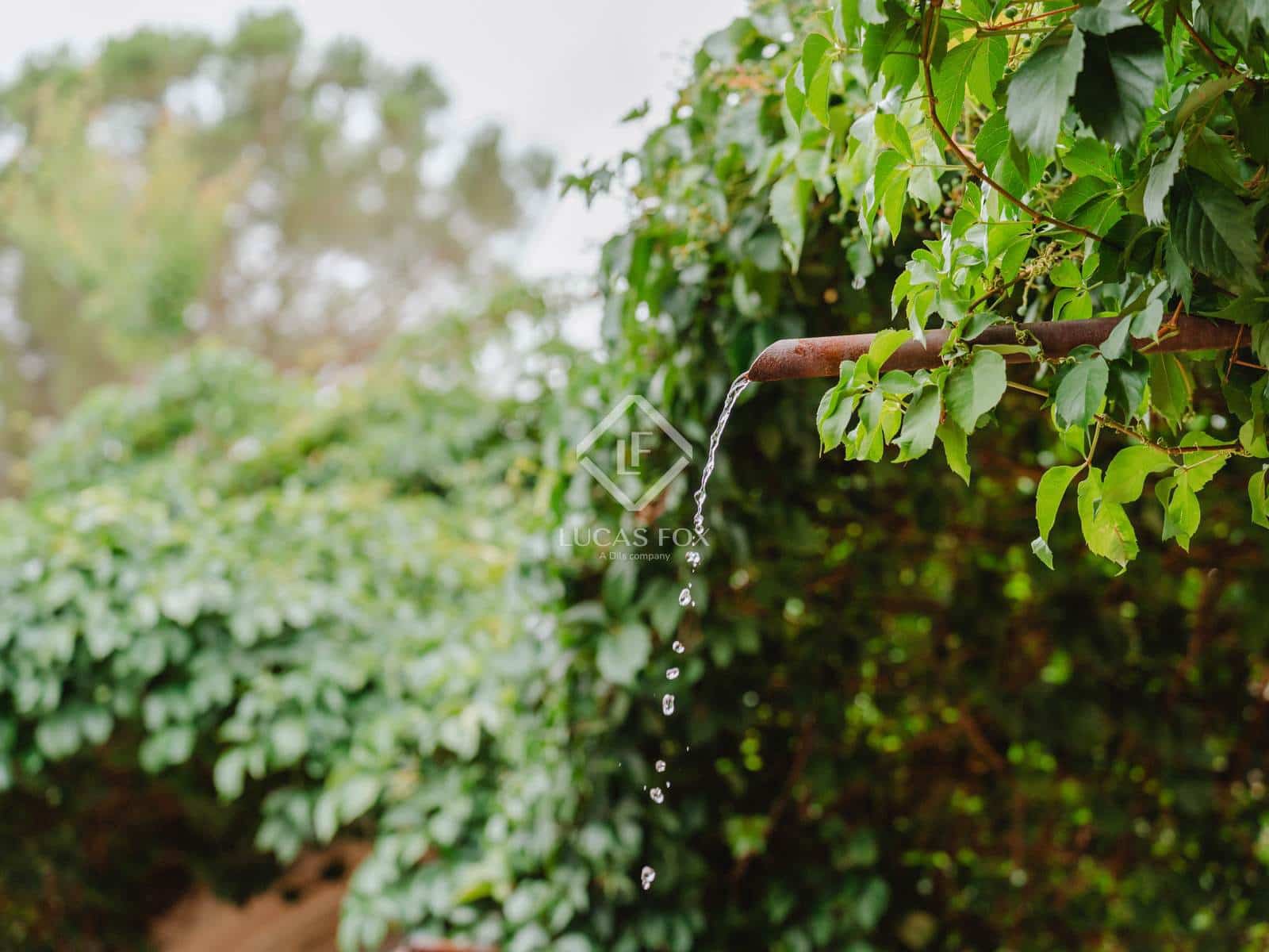 7 soveværelse Erhverv til salg i Capmany med swimmingpool garage - € 1.450.000 (Ref: 9373899)