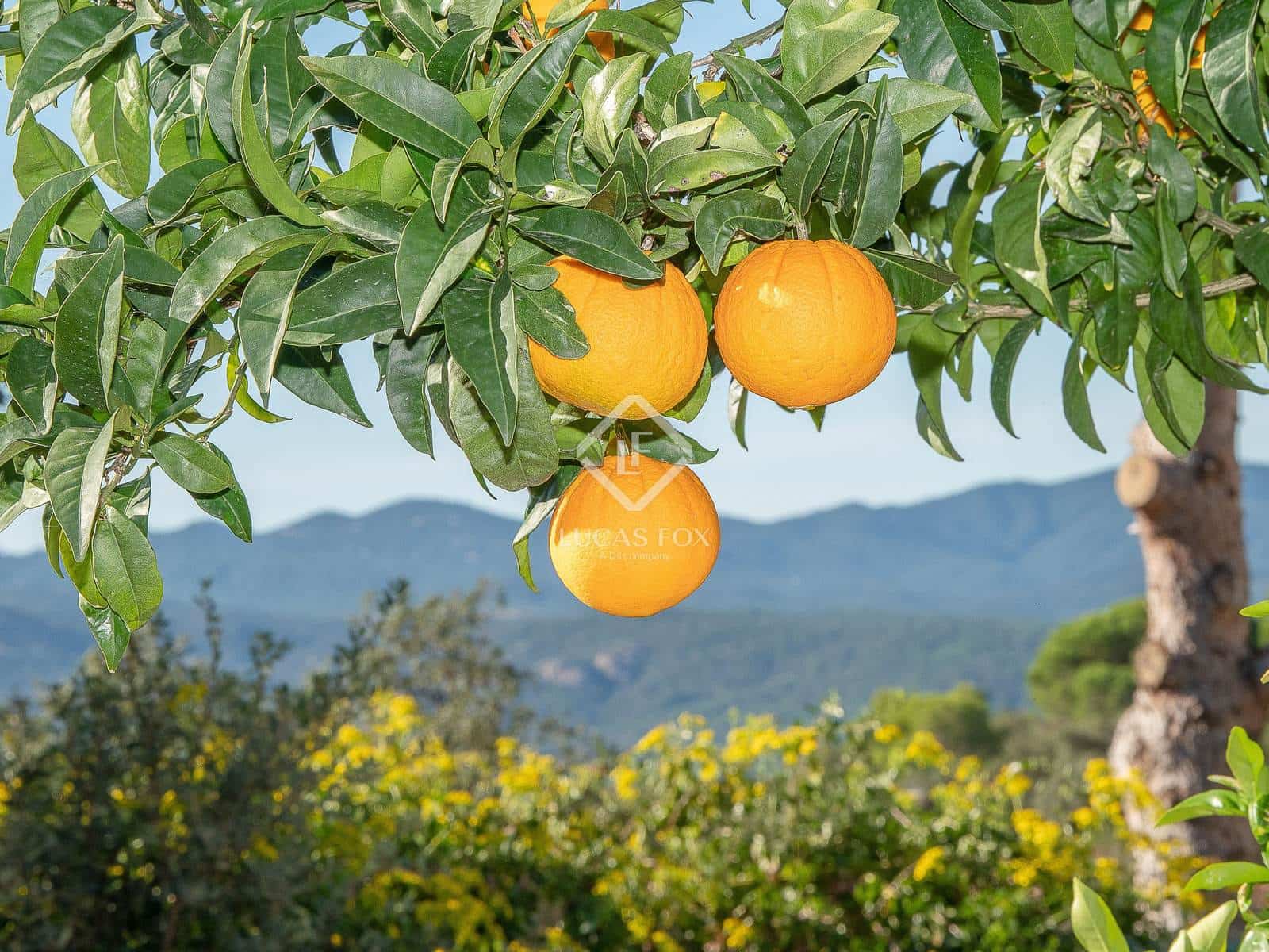 3 sypialnia Willa na sprzedaż w Santa Cristina d'Aro z basenem - 395 000 € (Ref: 9379657)