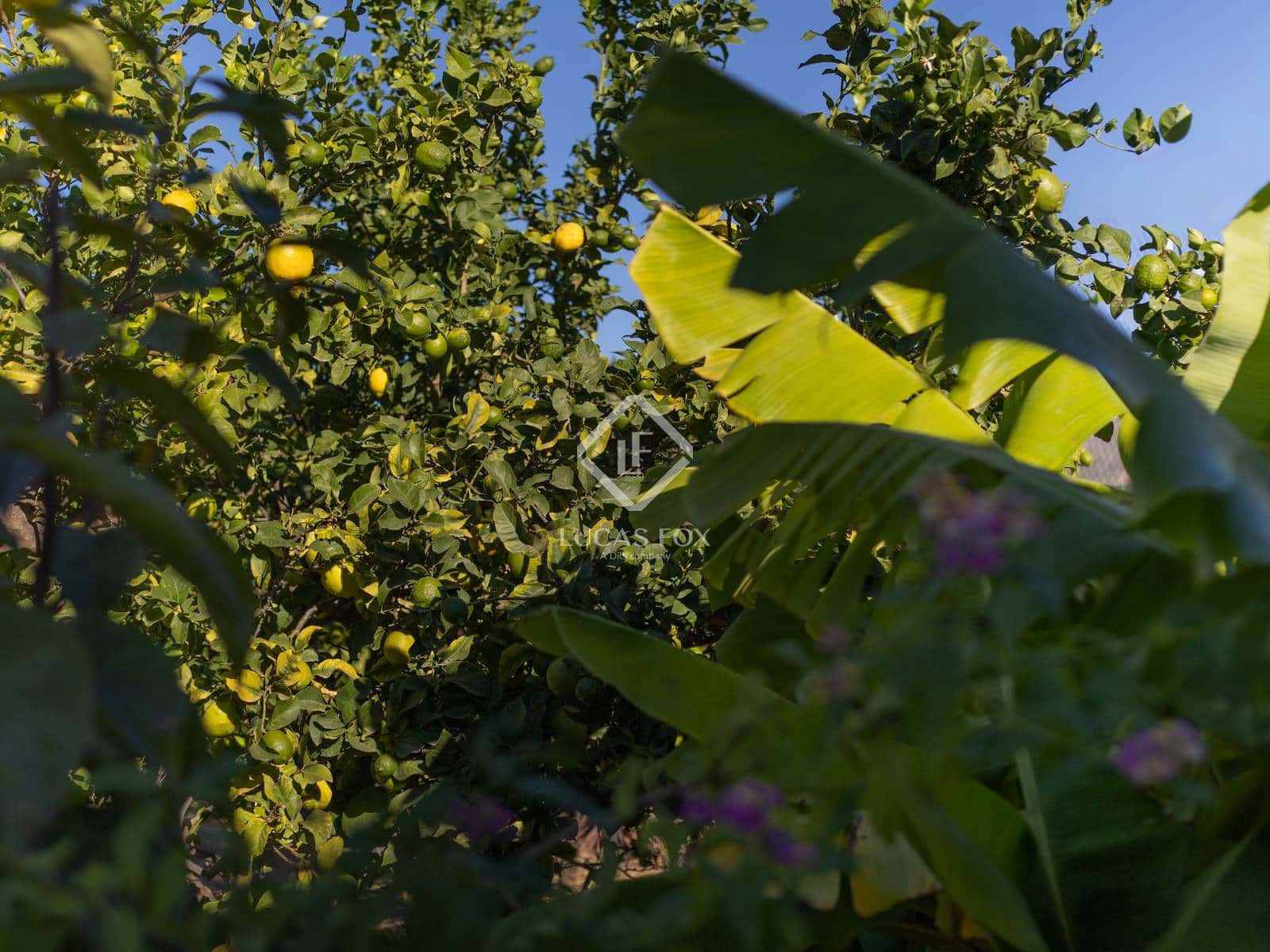 3 slaapkamer Finca/Landhuis te koop in Salobrena met zwembad garage - € 395.000 (Ref: 9386704)