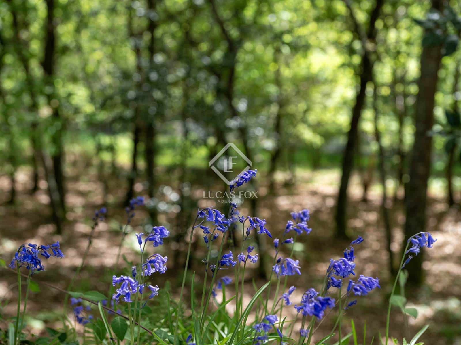 10 bedroom Villa for sale in A Caniza with pool garage - € 1,150,000 (Ref: 9388176)