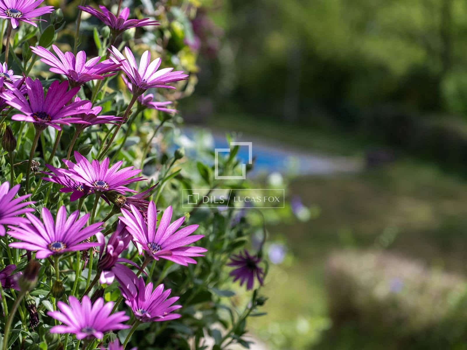 10 bedroom Villa for sale in A Caniza with pool garage - € 1,150,000 (Ref: 9388176)