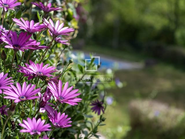 10 slaapkamer Villa te koop in A Cañiza met zwembad garage - € 1.150.000 (Ref: 9388176)