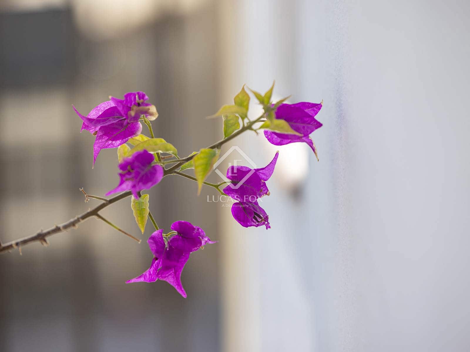 2 chambre Appartement à vendre à Javea / Xabia - 389 000 € (Ref: 9388661)