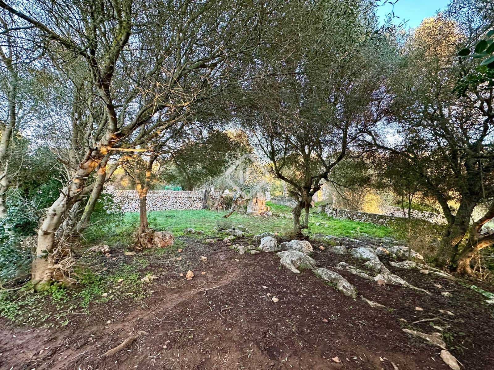 4 slaapkamer Finca/Landhuis te koop in Ciutadella de Menorca met garage - € 2.835.000 (Ref: 9397866)