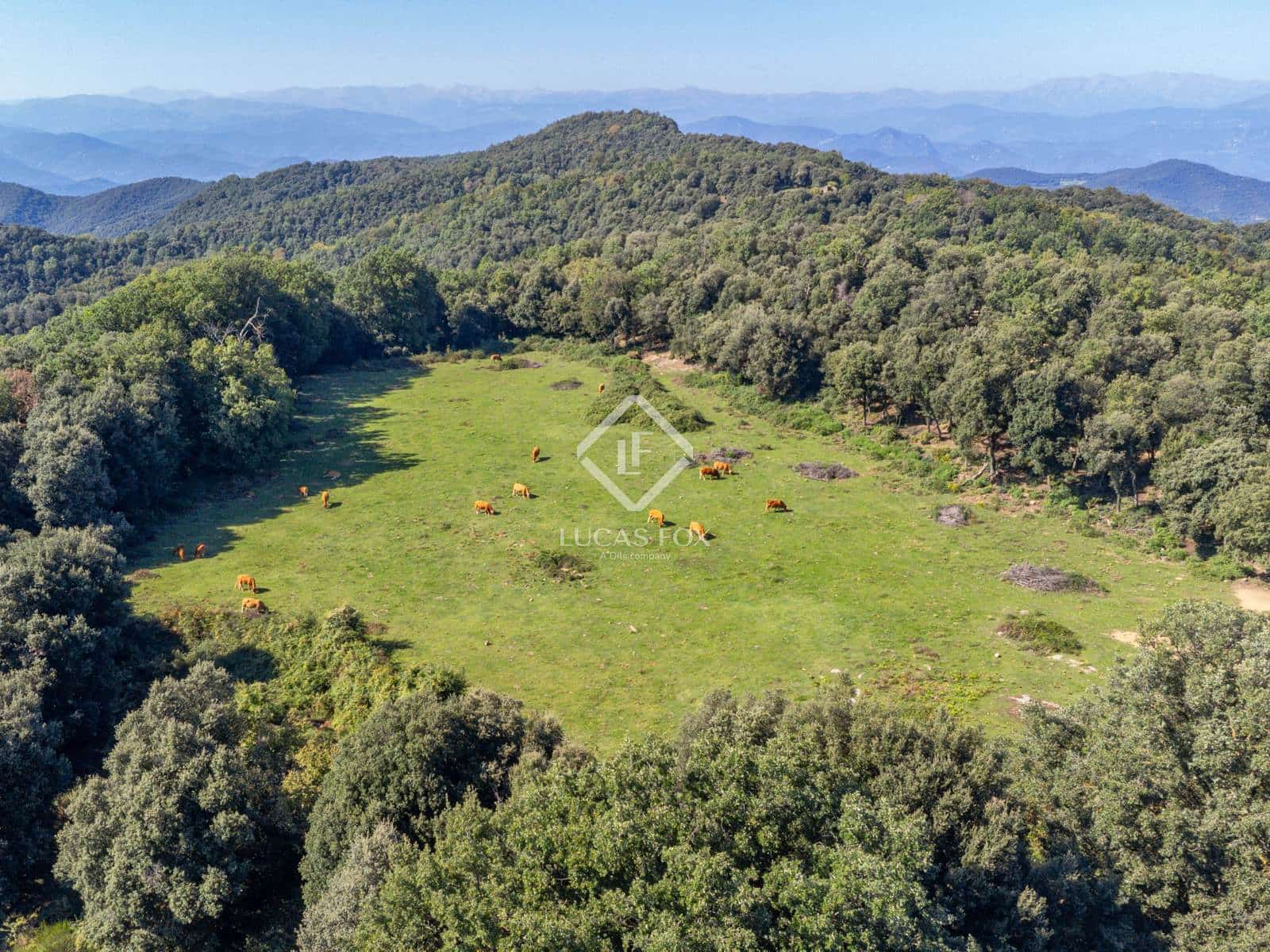 12 soverom Kommersiell til salgs i Sant Aniol de Finestres med svømmebasseng garasje - € 4 800 000 (Ref: 9414918)