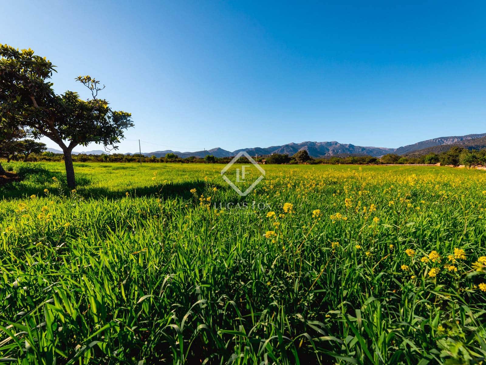 Bouwgrond te koop in Bunyola - € 650.000 (Ref: 9431993)