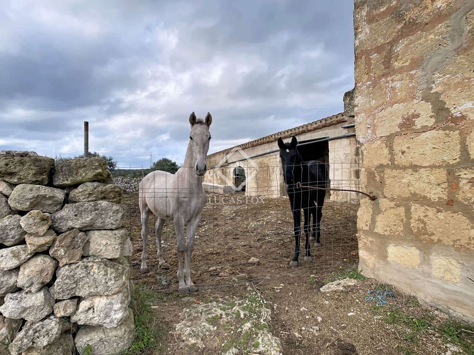 7 chambre Finca/Maison de Campagne à vendre à Ferreries - 1 900 000 € (Ref: 9450558)