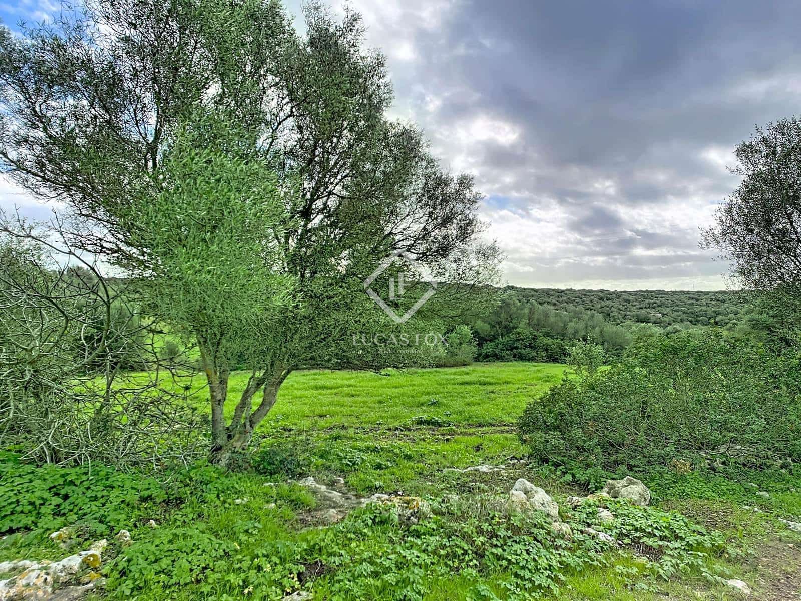 7 chambre Finca/Maison de Campagne à vendre à Ferreries - 1 900 000 € (Ref: 9450558)