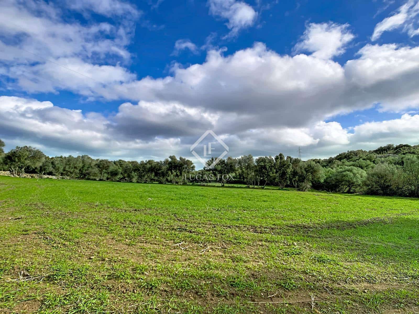 7 chambre Finca/Maison de Campagne à vendre à Ferreries - 1 900 000 € (Ref: 9450558)