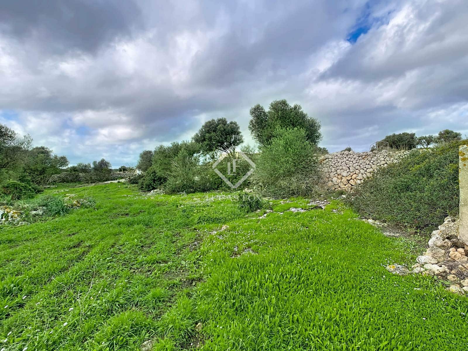 7 chambre Finca/Maison de Campagne à vendre à Ferreries - 1 900 000 € (Ref: 9450558)