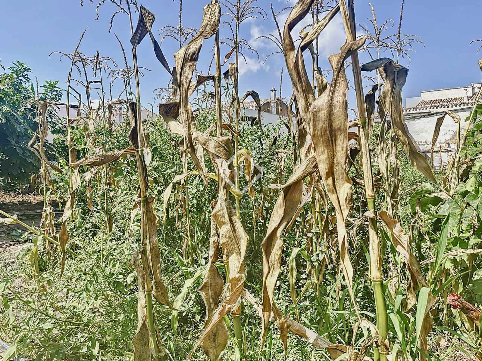 Chalet de 9 habitaciones en Mahón / Maó en venta con piscina garaje - 3.900.000 € (Ref: 9450559)