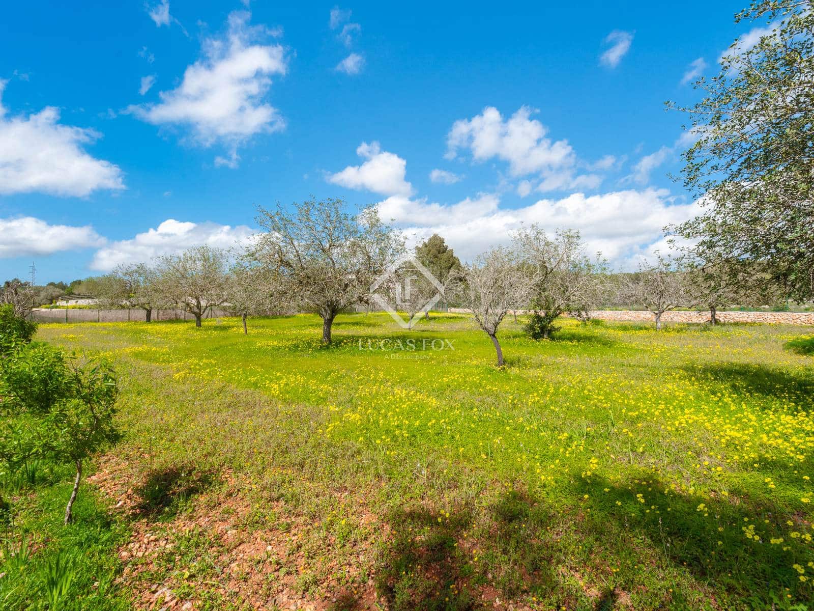 4 soveværelse Villa til salg i Sant Antoni de Portmany med swimmingpool garage - € 2.950.000 (Ref: 9450560)