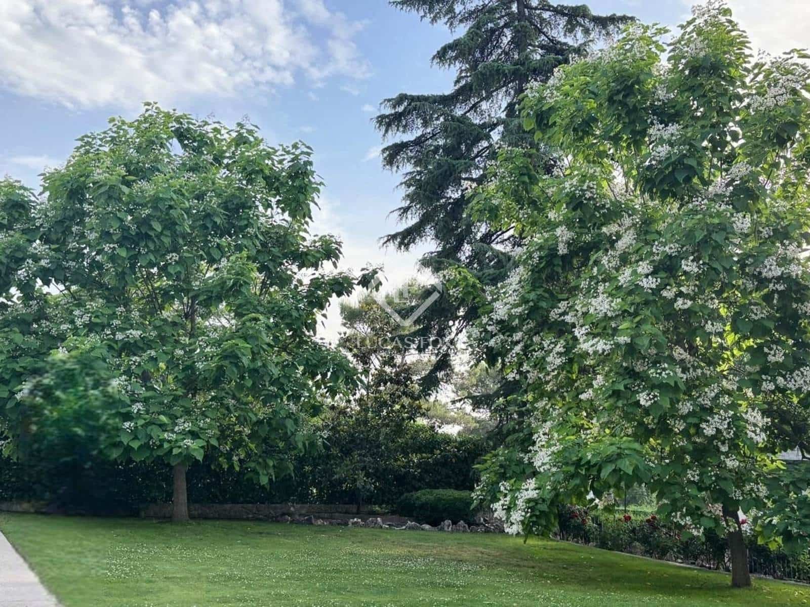 6 chambre Villa/Maison à vendre à Boadilla del Monte avec piscine garage - 3 430 000 € (Ref: 9454801)