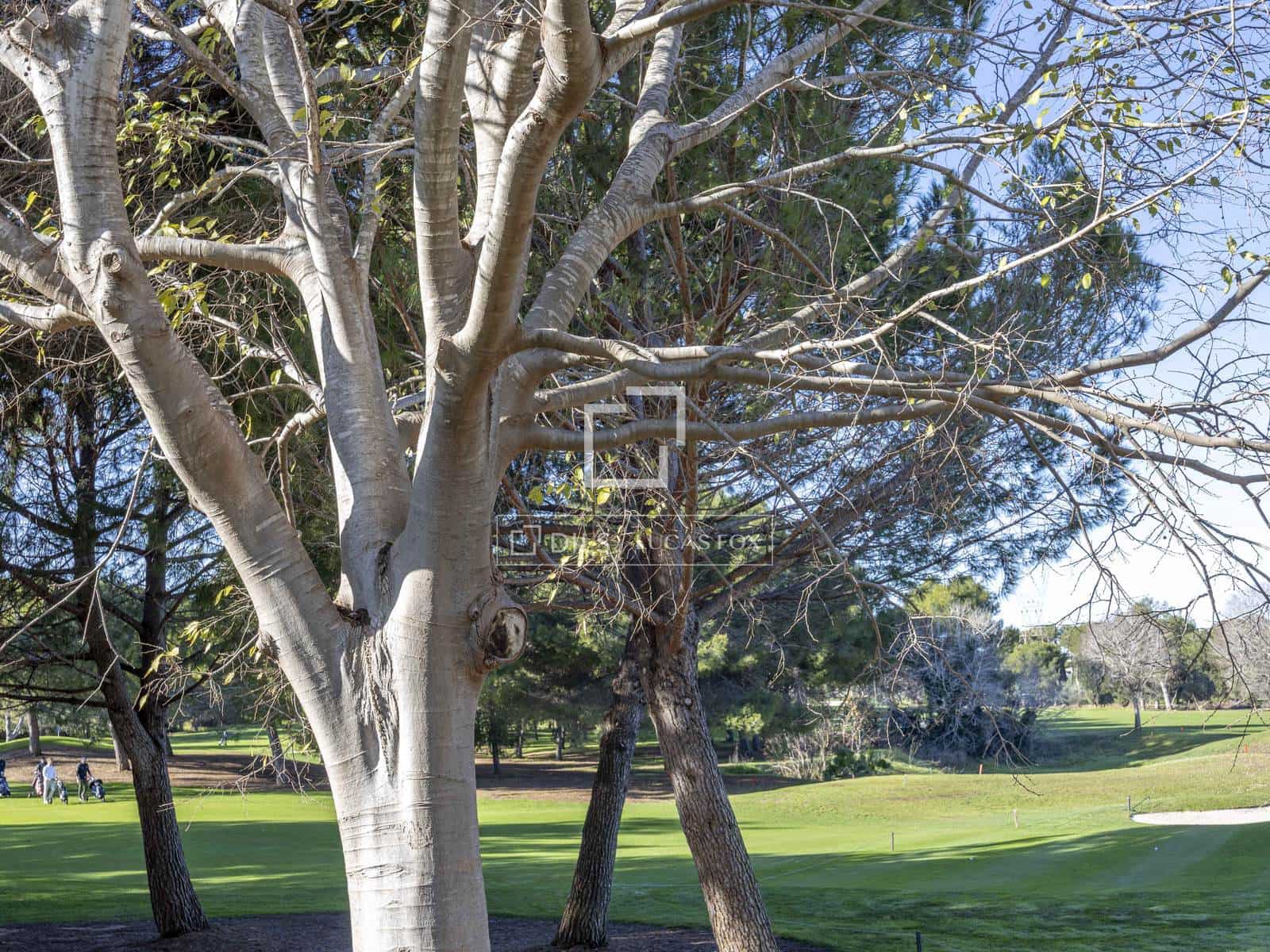 4 bedroom Apartment for rent in Betera with garage - € 1,900 (Ref: 9491850)