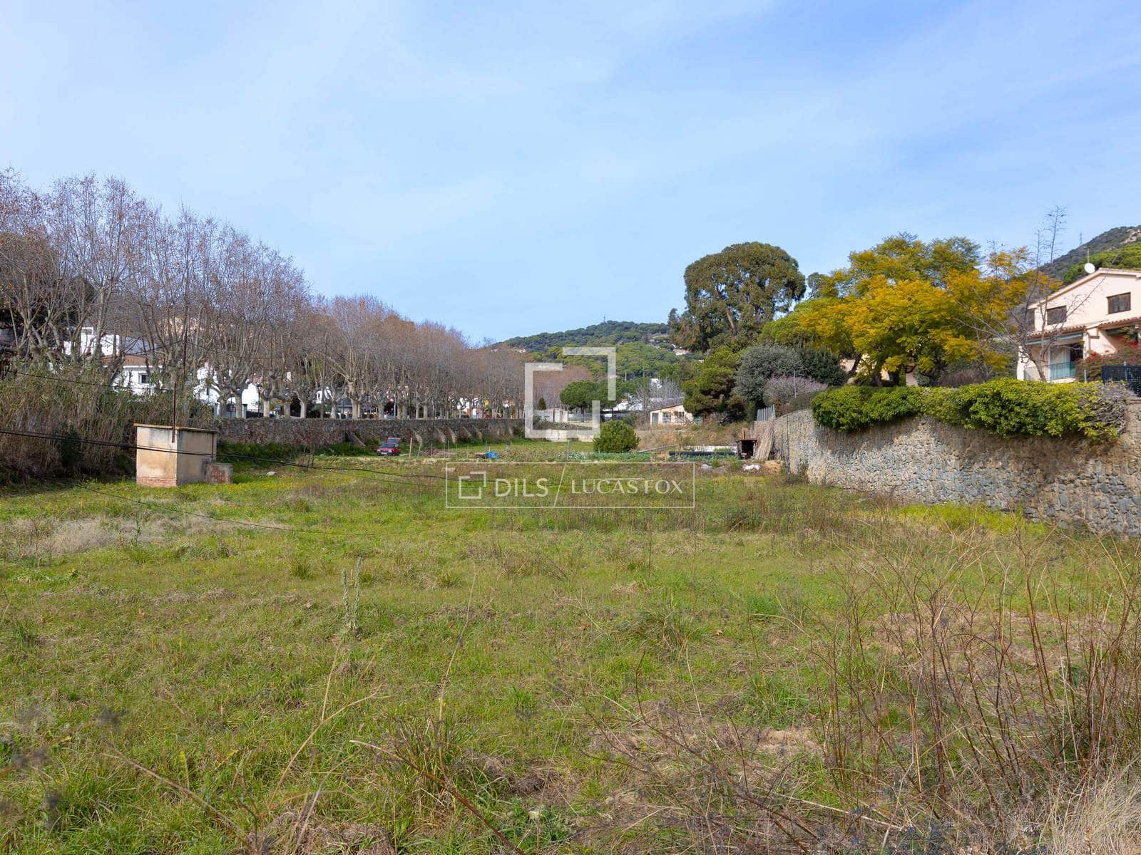 Tontti myytävänä paikassa Teia - 1 200 000 € (Ref: 9519377)