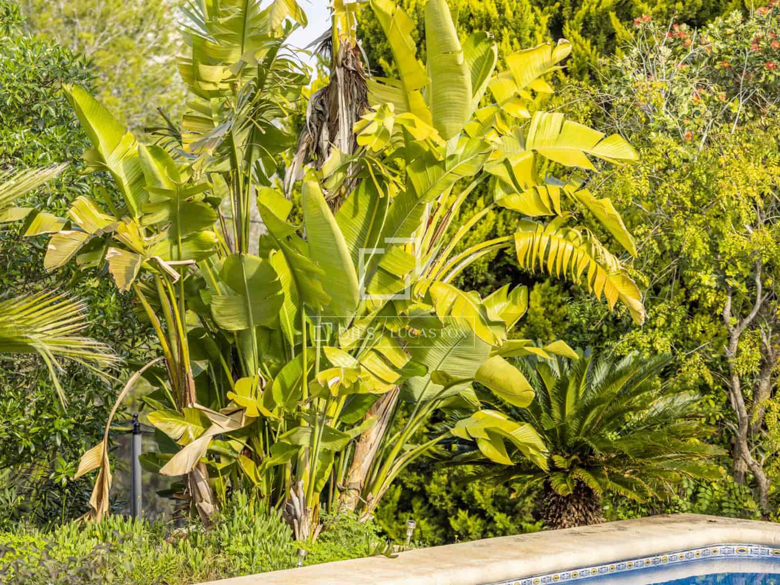 5 soveværelse Villa til salg i Javea / Xabia med swimmingpool garage - € 995.900 (Ref: 9528996)