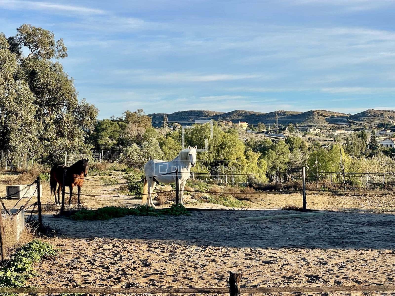 6 chambre Villa/Maison à vendre à Elche / Elx avec piscine garage - 850 000 € (Ref: 9539519)