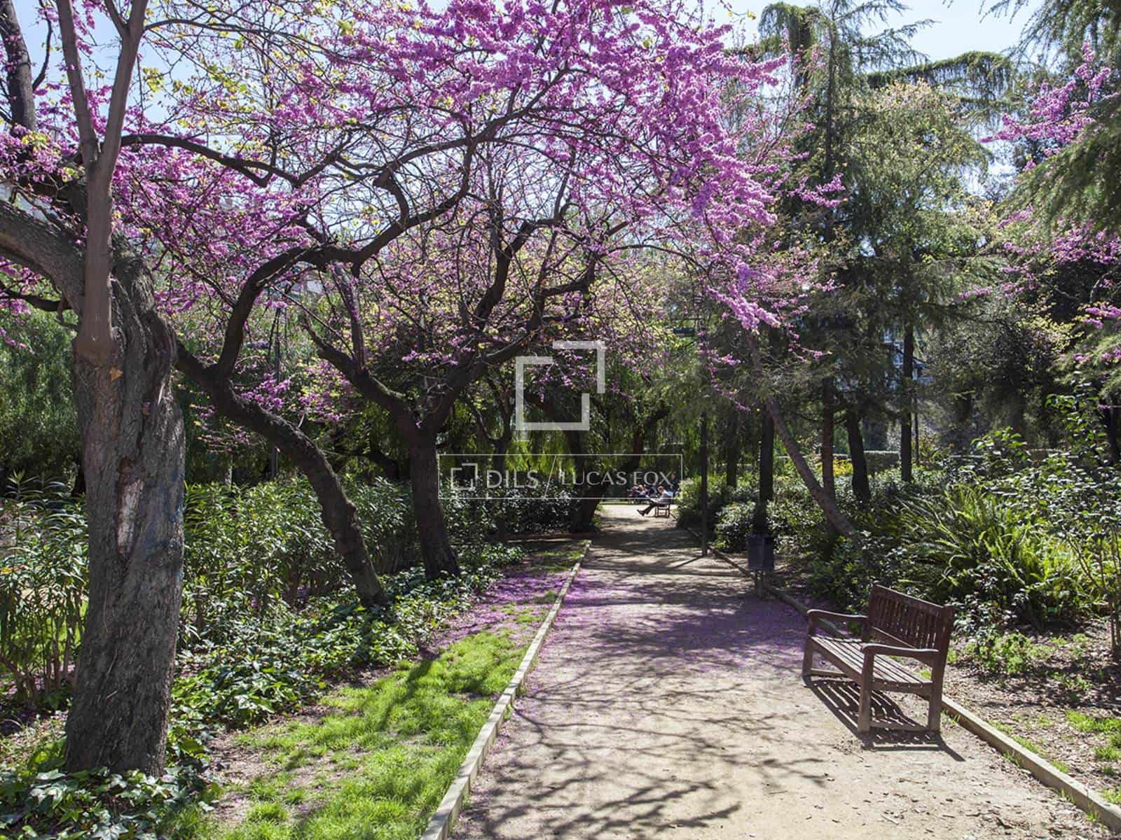 4 bedroom Apartment for rent in Barcelona city with garage - € 4,200 (Ref: 9543975)