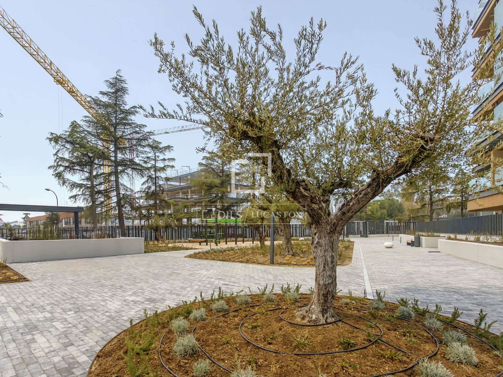 2 bedroom Apartment for rent in Madrid city with pool garage - € 3,000 (Ref: 9552538)