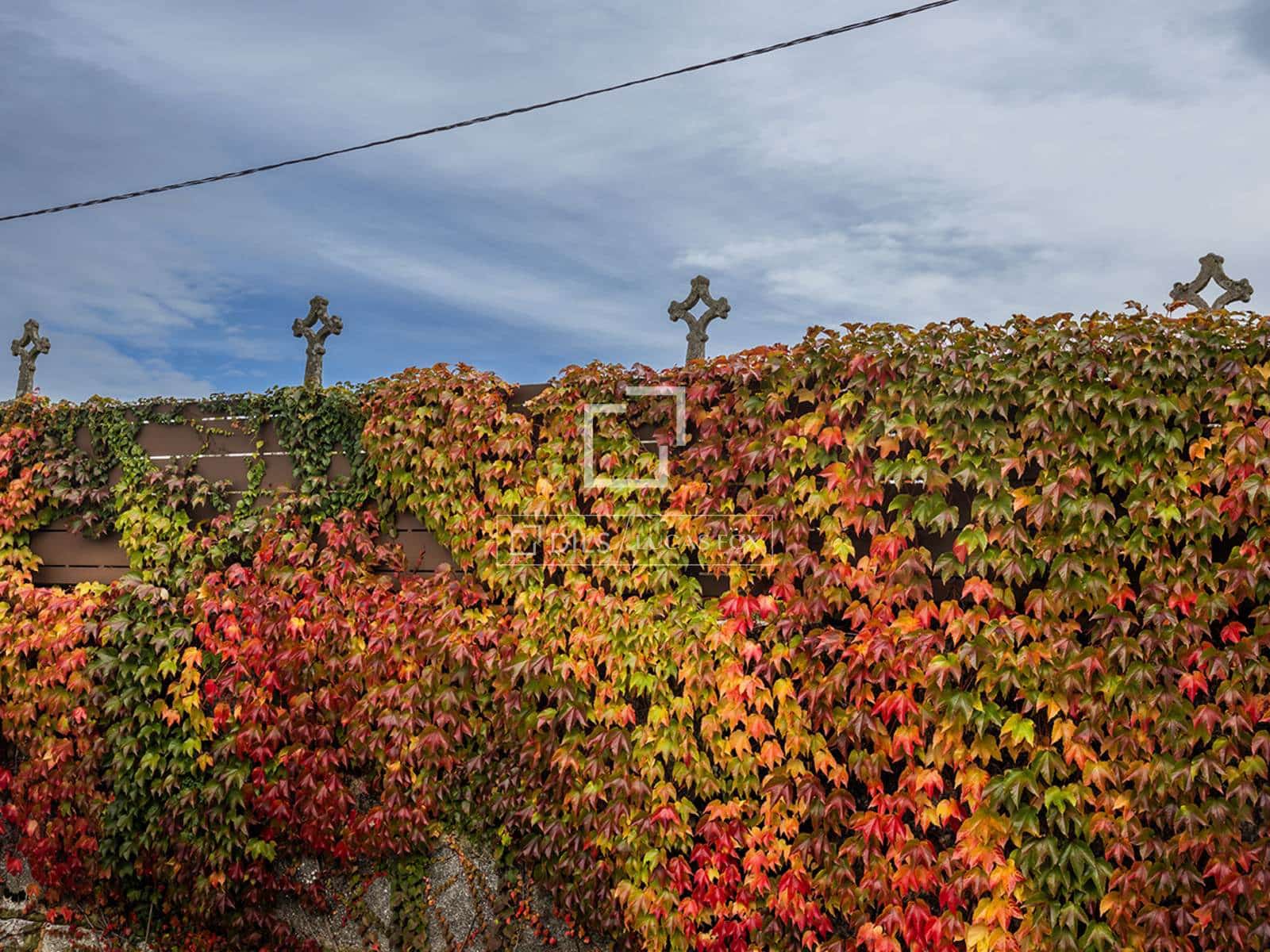 7 bedroom Villa for sale in Parada de Sil with garage - € 1,370,000 (Ref: 9583471)