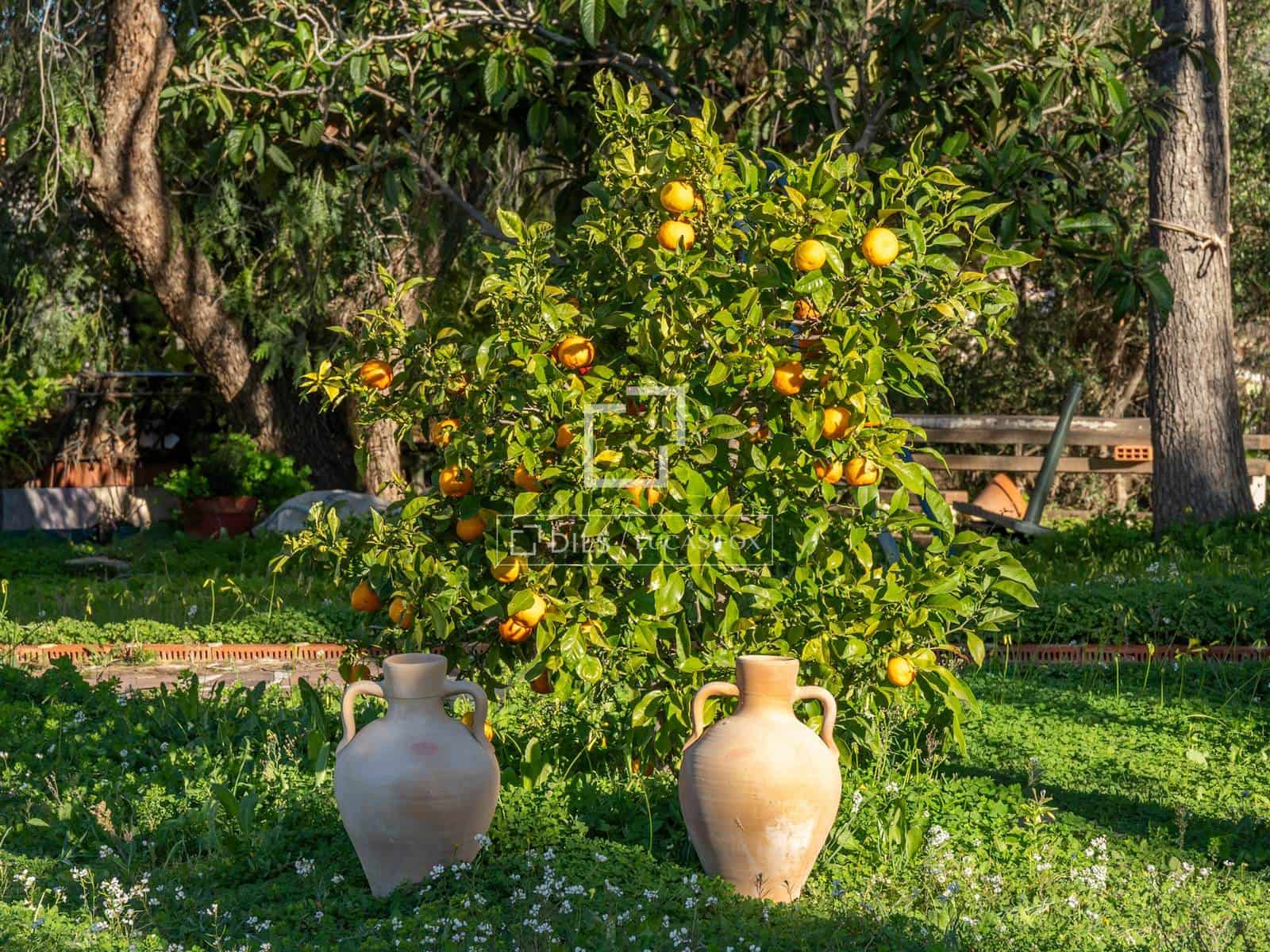 6 slaapkamer Villa te koop in Teulada - € 2.495.000 (Ref: 9598326)