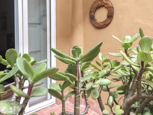 2 camera da letto Appartamento in vendita in Ciutat Vella, Barcelona città - 378.000 € (Rif: 9603436)