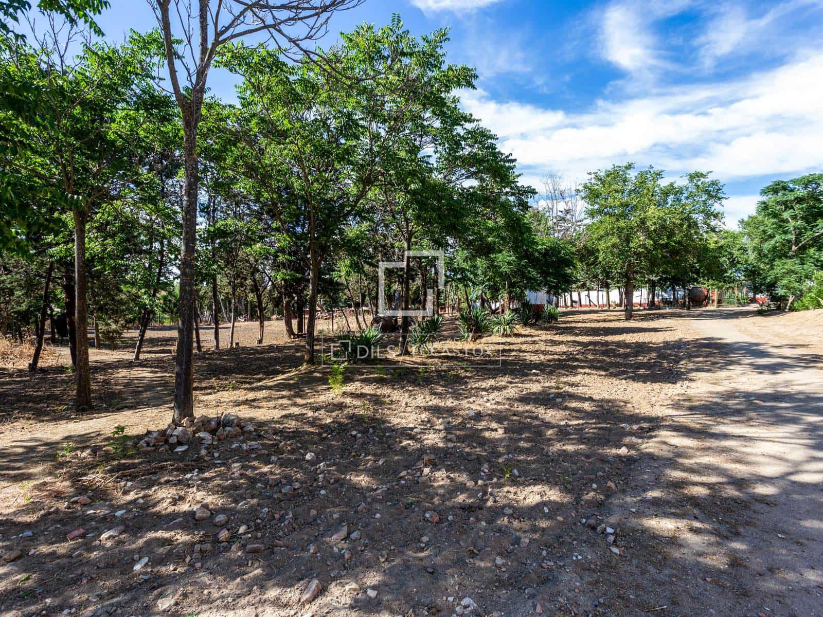 6 chambre Villa/Maison à vendre à Valdeolmos avec piscine garage - 6 290 000 € (Ref: 9603439)