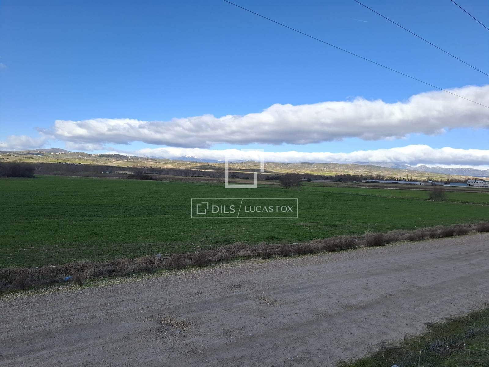 Działka budowlana na sprzedaż w Talamanca de Jarama - 945 000 € (Ref: 9614313)