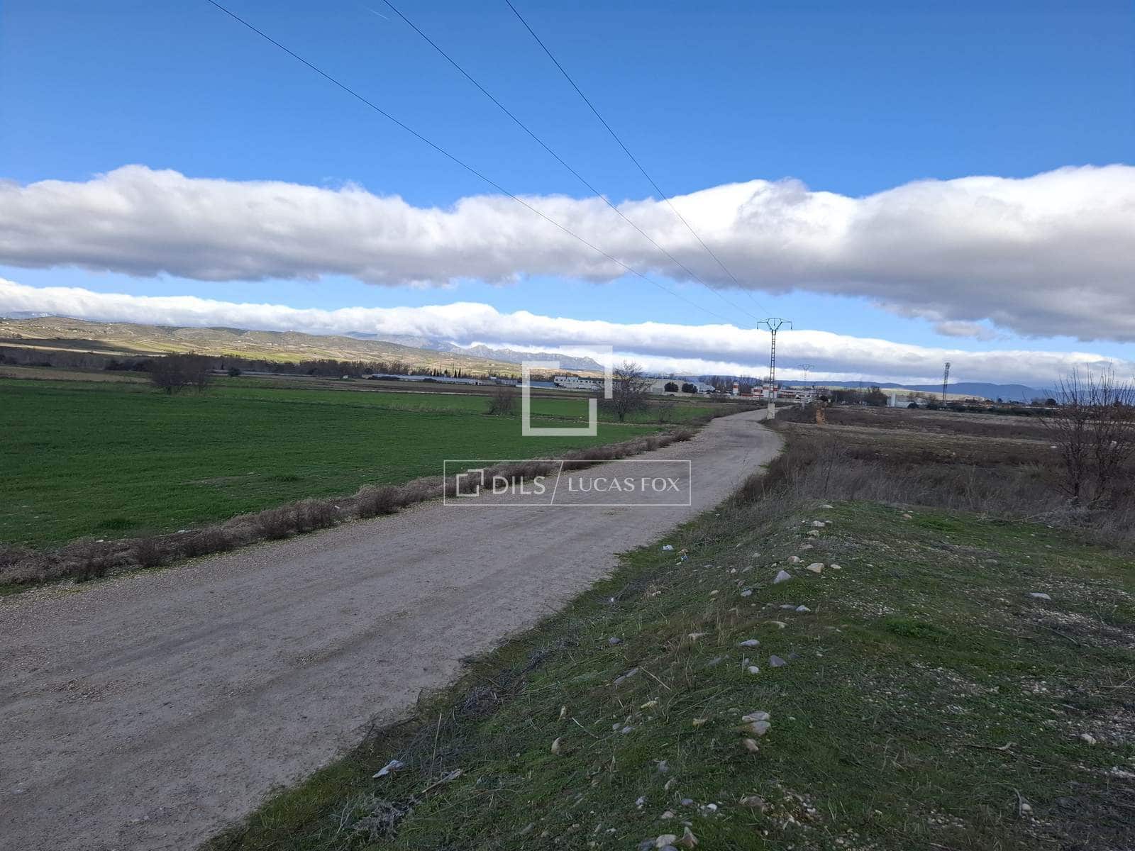 Działka budowlana na sprzedaż w Talamanca de Jarama - 945 000 € (Ref: 9614313)