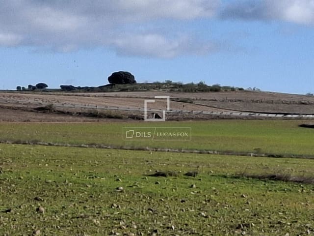 Działka budowlana na sprzedaż w Talamanca de Jarama - 255 000 € (Ref: 9614314)