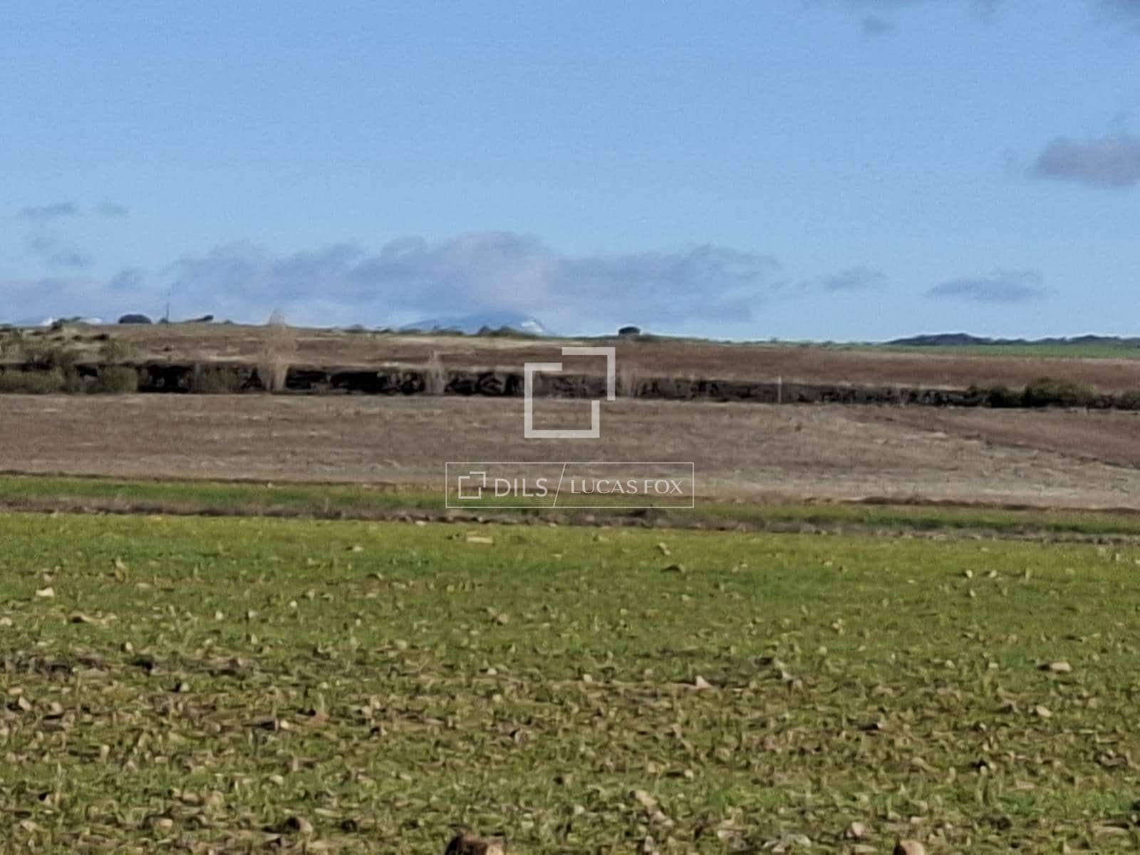 Działka budowlana na sprzedaż w Talamanca de Jarama - 255 000 € (Ref: 9614314)