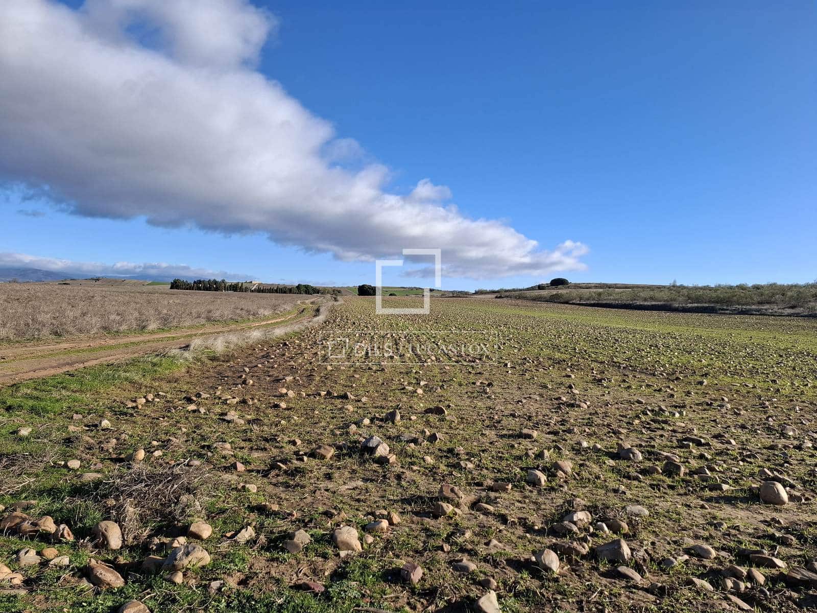 Działka budowlana na sprzedaż w Talamanca de Jarama - 255 000 € (Ref: 9614314)