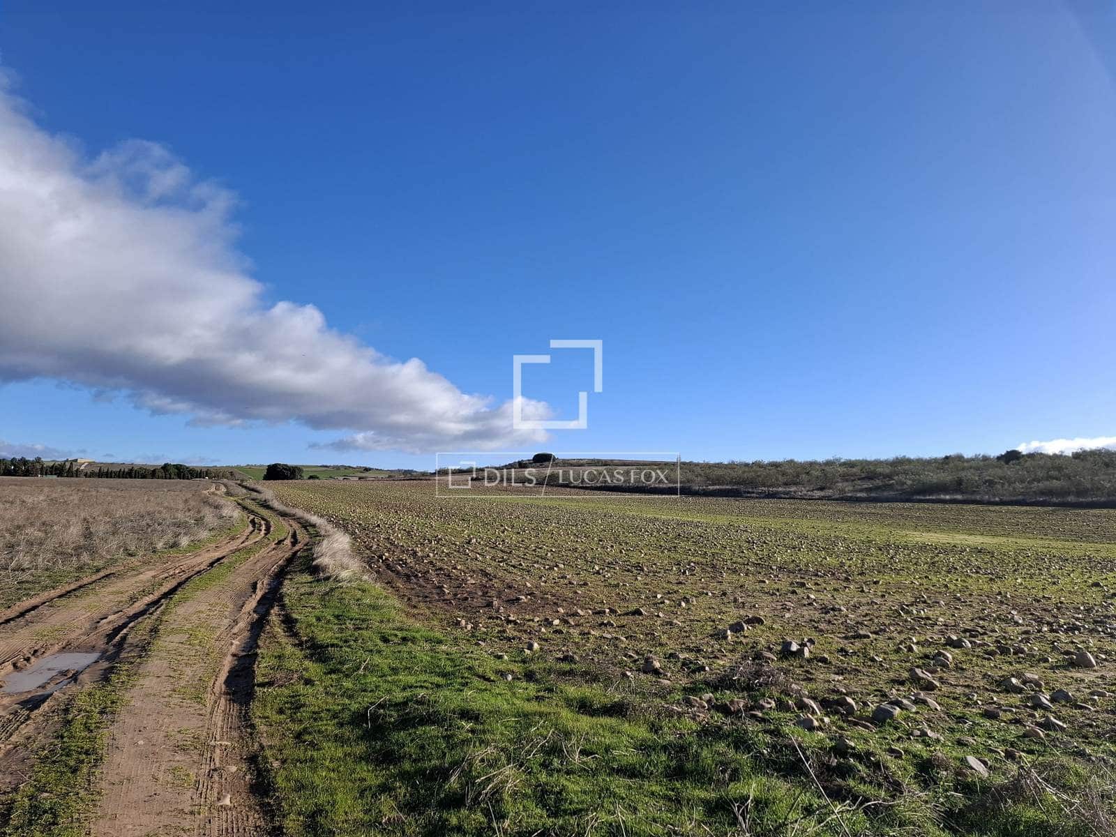 Działka budowlana na sprzedaż w Talamanca de Jarama - 255 000 € (Ref: 9614314)