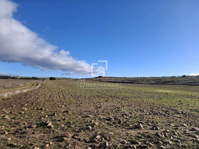 Działka budowlana na sprzedaż w Talamanca de Jarama - 255 000 € (Ref: 9614314)