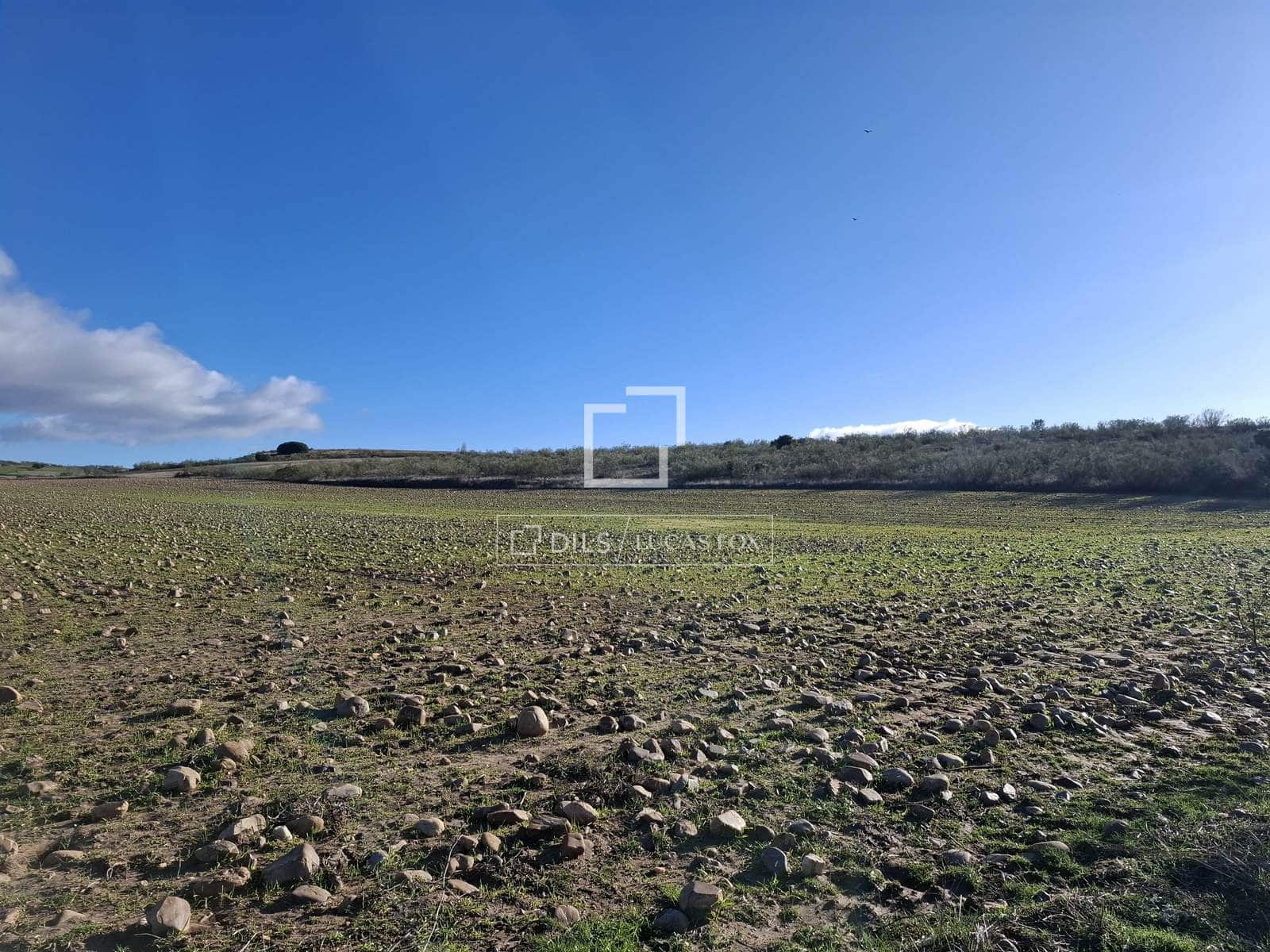 Działka budowlana na sprzedaż w Talamanca de Jarama - 255 000 € (Ref: 9614314)