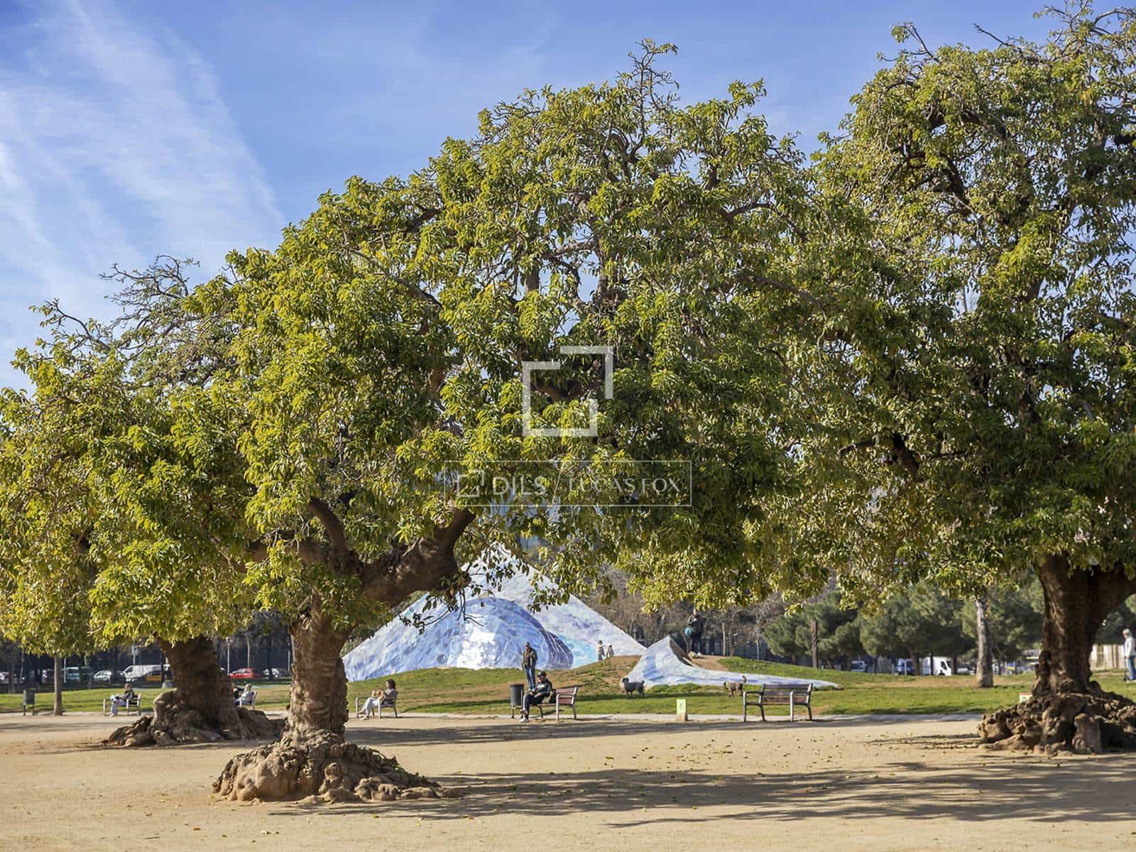 1 bedroom Apartment for sale in Barcelona city - € 495,000 (Ref: 9632652)