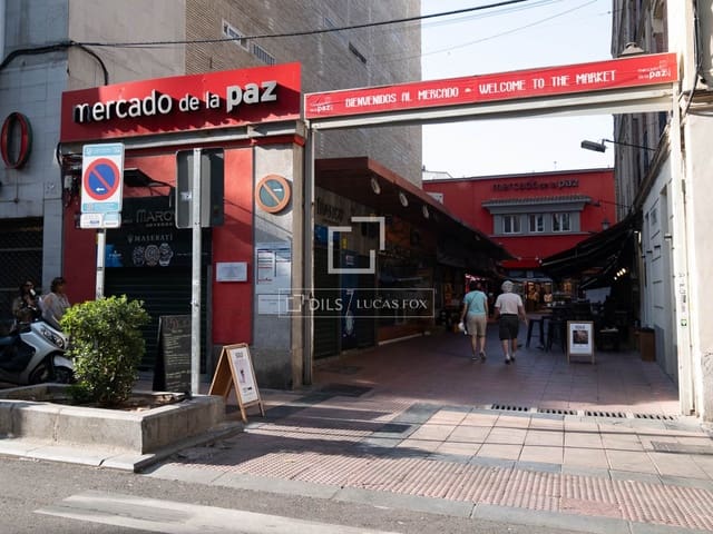 3 quarto Penthouse para venda em Recoletos, Madrid cidade - 5 500 000 € (Ref: 9635018)