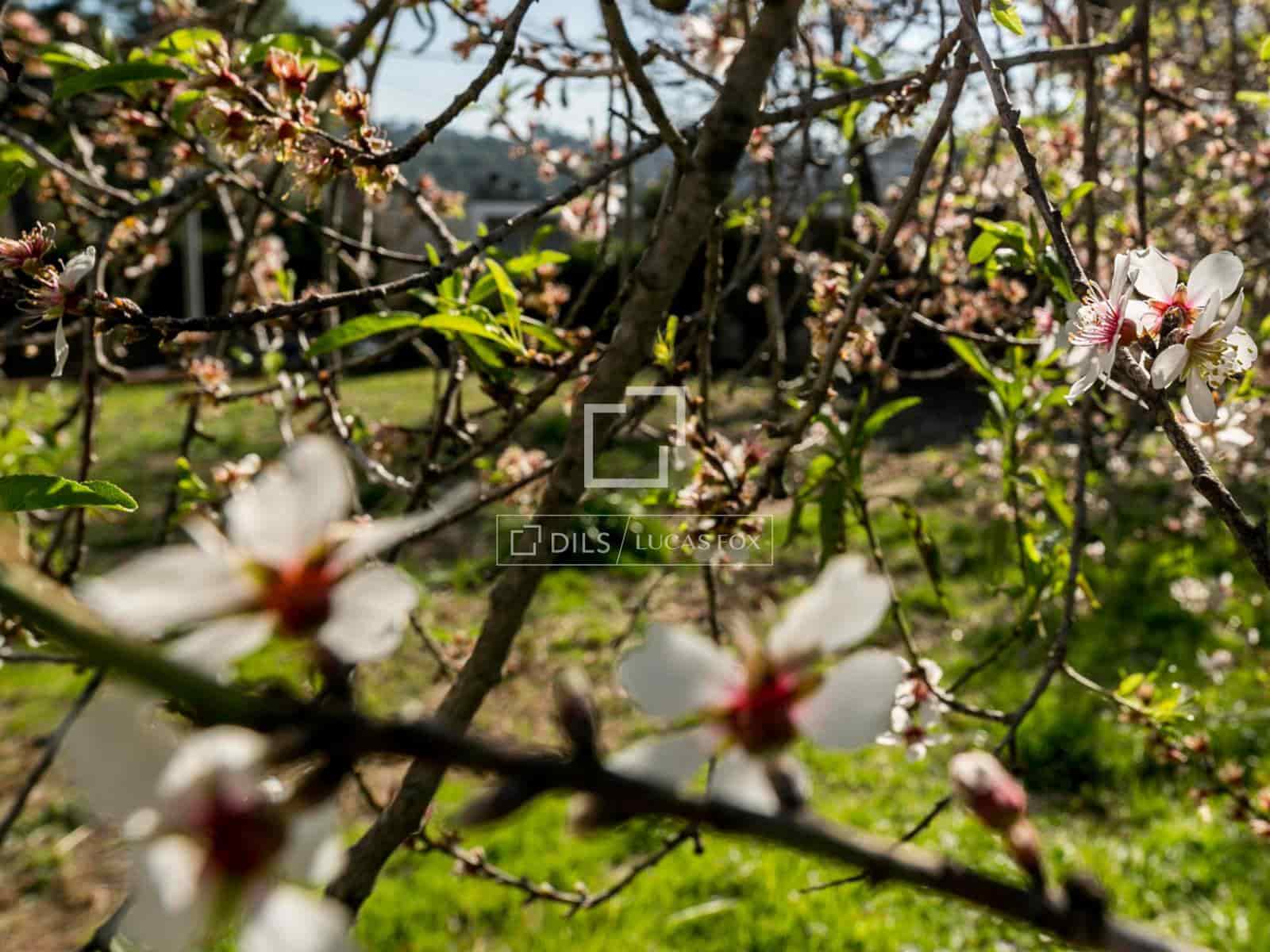 Terrain à Bâtir à vendre à Valldoreix - 1 575 000 € (Ref: 9654446)